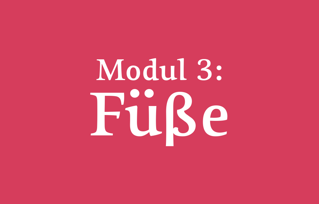 Modul 3: Füße Modul 3: Füße