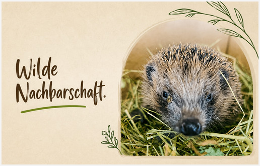 Wilde Nachbarschaft – Initiative zum Schutz von Igeln und anderen Wildtieren.
