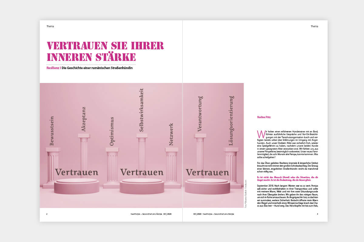 Healthstyle-Beitrag von Nadine Pötz über Resilienz und innere Stärke anhand der Geschichte einer rumänischen Straßenhündin.